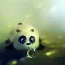 影子31725