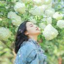 芳心香草