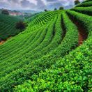 。。。？缪海燕