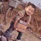 鹏