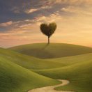 无所不能1553582666769