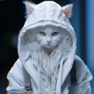 xiangd02的头像-951博客