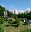 炮兵中校的头像