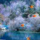 自在飞花轻似梦11519