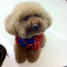 liujunju's Avatar