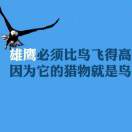 云南贝森装饰材料有限公司