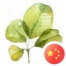 洛書(shū)