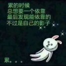 、C