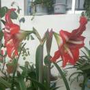 我要实现我的梦想