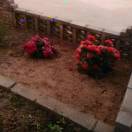 明天，你好！_3227