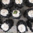 浩强食用菌合作社