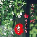 无法，忘记了你