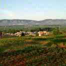 Xingbo