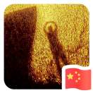 A楊揚(yáng)??18993908868