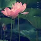小庆阿弥陀小吃