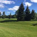 Evan Liu