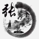 藍(lán)盾安防