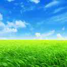 我只在乎你23097