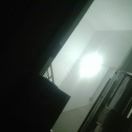 小海豚白起