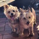 Casey 【探索艾尔旅游公司客服】