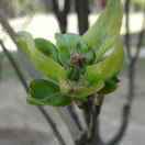 当我想你的时候