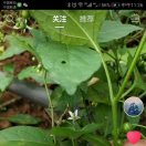 绝情~绝恋~绝爱