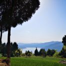 大道无道一乐鸿