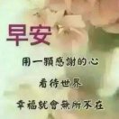 木炎的头像