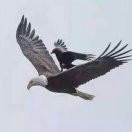 禾甸老六汽配13577246478