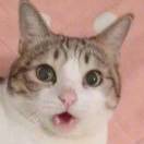 runnable's Avatar