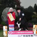翔沄邊牧