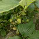 美好的一天13994