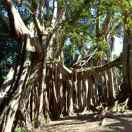 这个世界让我心碎了