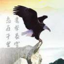 な    鹰击长空