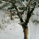 无聊小菜