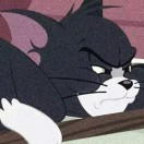 1a8648952的头像-951博客