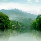 陈敏