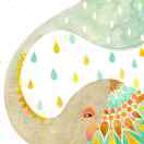 Liwen profile picture