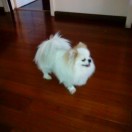 童心128171