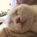 rastila's Avatar