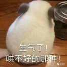 等一分钟1006