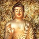 當(dāng)來就來