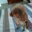 家和万事兴14785