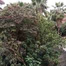 黄永游13433111729