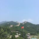 合心