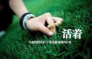 日落的地方