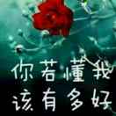 杨阳