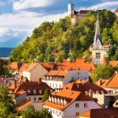 寂静的森林_9027