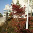 李聪明13577489528