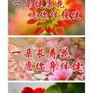 冰清的头像